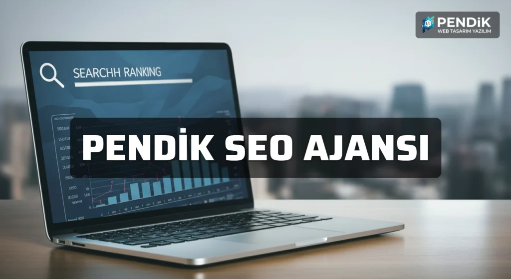 Pendik Seo Ajansı