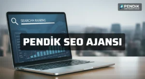 Pendik Seo Ajansı
